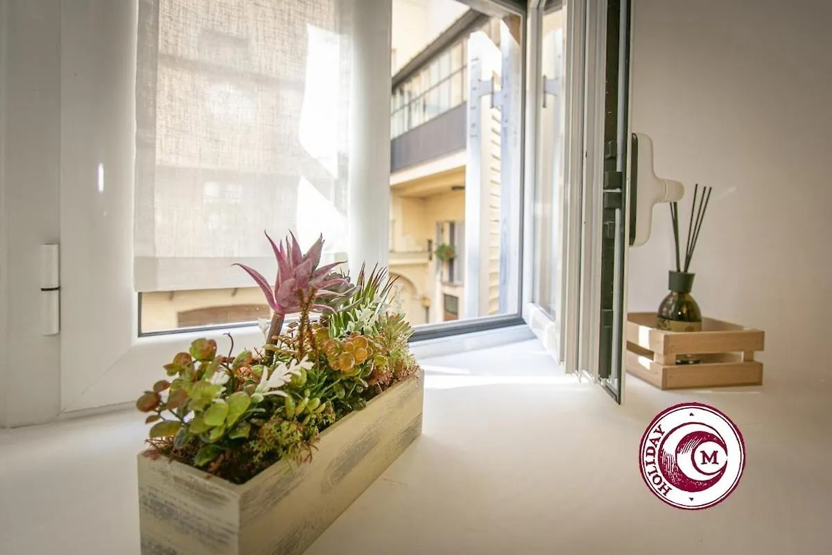 C M Loft La Torre Della Scimmia Apartment Rome Italy