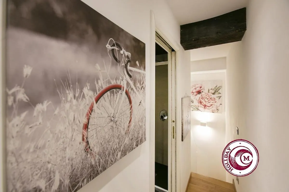 C M Loft La Torre Della Scimmia Apartment Rome