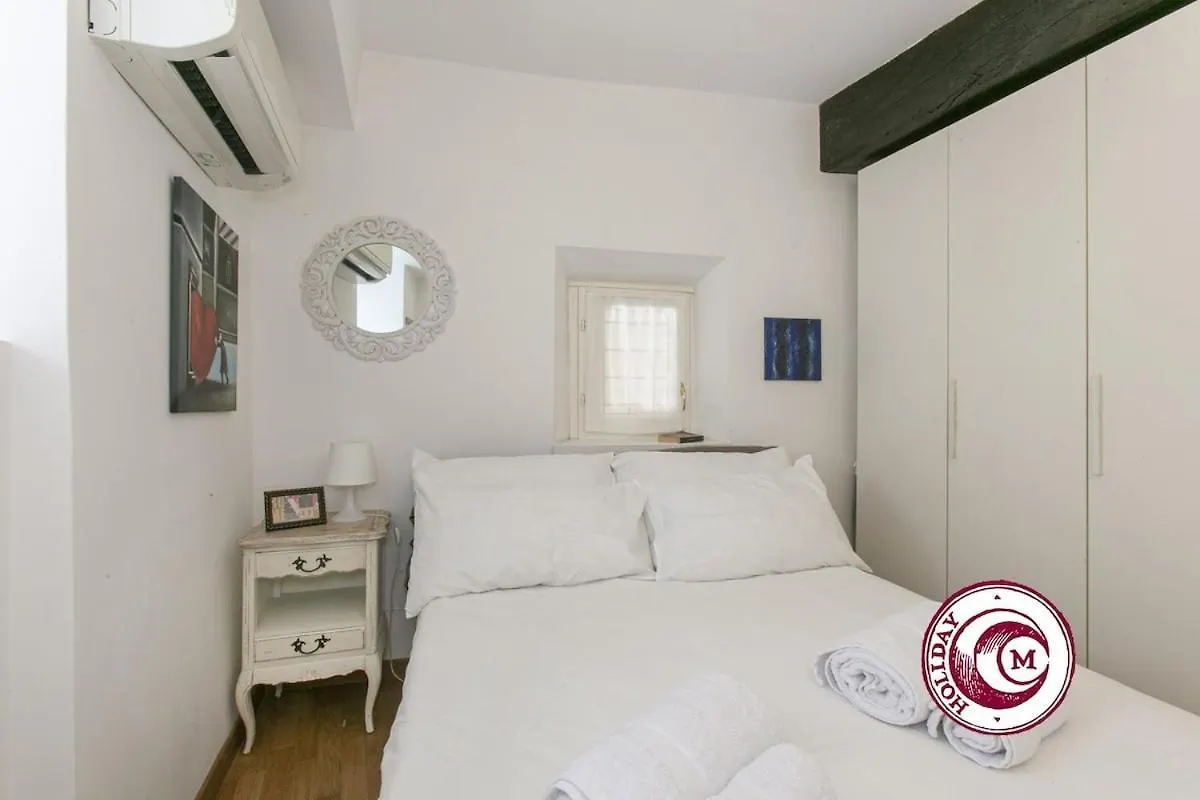 C M Loft La Torre Della Scimmia Apartment Rome